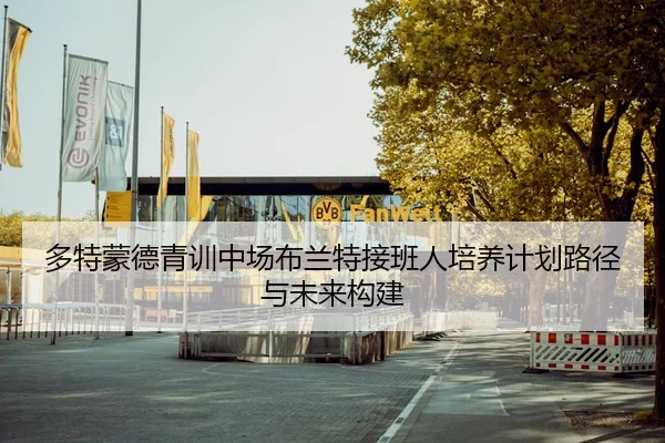 多特蒙德青训中场布兰特接班人培养计划路径与未来构建