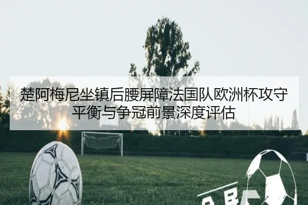 楚阿梅尼坐镇后腰屏障法国队欧洲杯攻守平衡与争冠前景深度评估